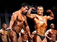 Campeonatos del Mundo de Classic Bodybuilding 2012