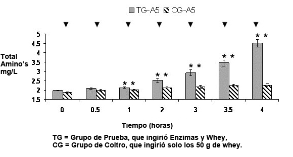 Whey Protein Absorcion